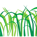 🌿