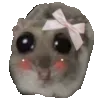 🎀