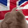 🇬🇧