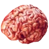 🧠