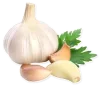 🧄
