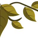 🌿