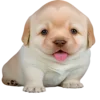 😛
