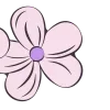 🌸