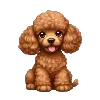 🐩