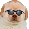 😎