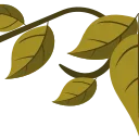 🌿