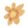 🌼