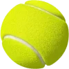 🎾