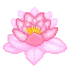 🌺