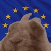 🇪🇺