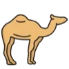 🐪