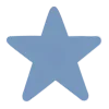 🌟