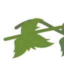 🌿