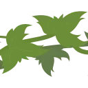 🌿