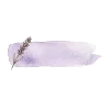 〰️