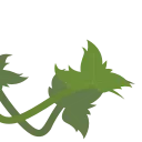 🌿