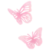 🦋