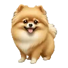 🐶