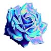 🌸