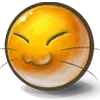 😼