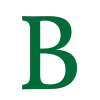 🇸🇦