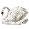 🦢
