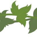 🌿