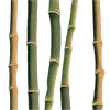 🎋
