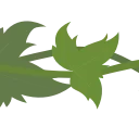 🌿