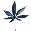 🌱