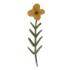 🌻