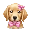 🐶