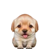 😊