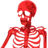 🤩