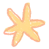 ✨