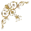 🤩