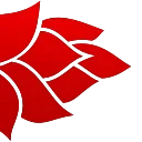 🌹
