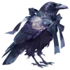 🕊