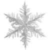 ❄️