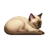 🐈