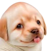 😋