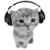 🐈
