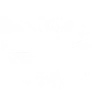 🪽