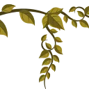 🌿