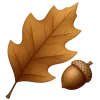 🍂