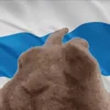 🇷🇺