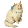 🐱