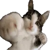 👊