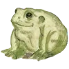 🐸